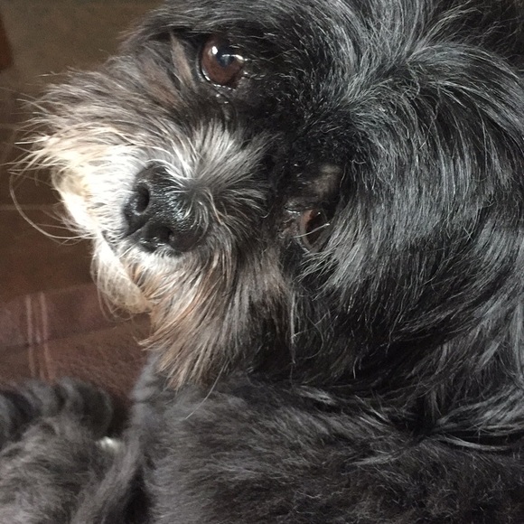 Classy Cozy Cool Boutique - Picture 2 of 2